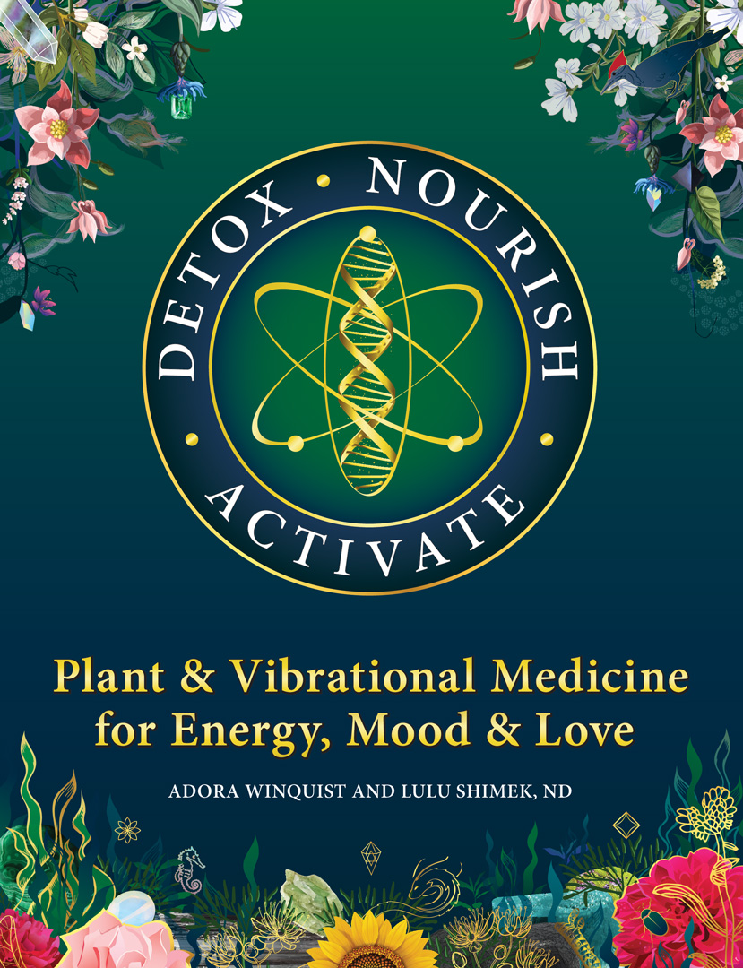 Read more about the article Aromatherapy For Optimum Health: Essential Oils for Immune Support