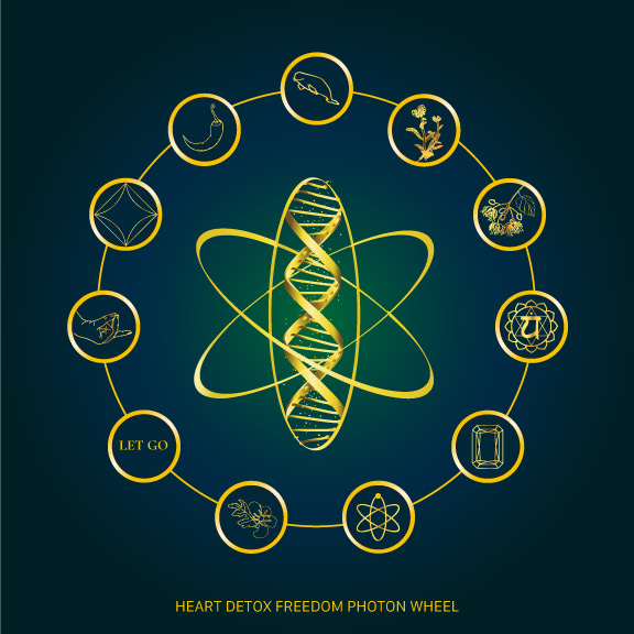 DNA Freedom Photon Wheel