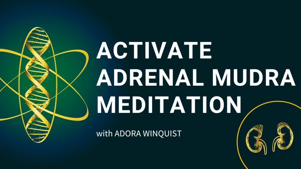 Activate Adrenal Mudra Meditation banner
