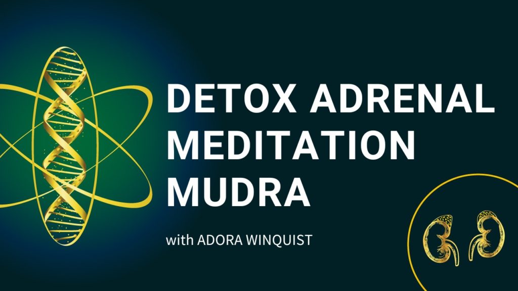 Detox Adrenal Meditation Mudra banner