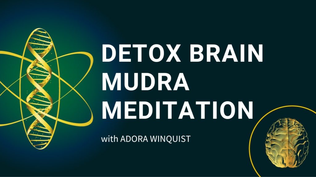Detox Brain Mudra Meditation banner