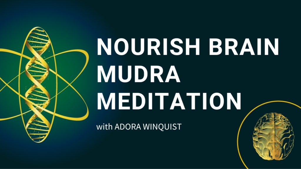 Nourish Brain Mudra Meditation banner