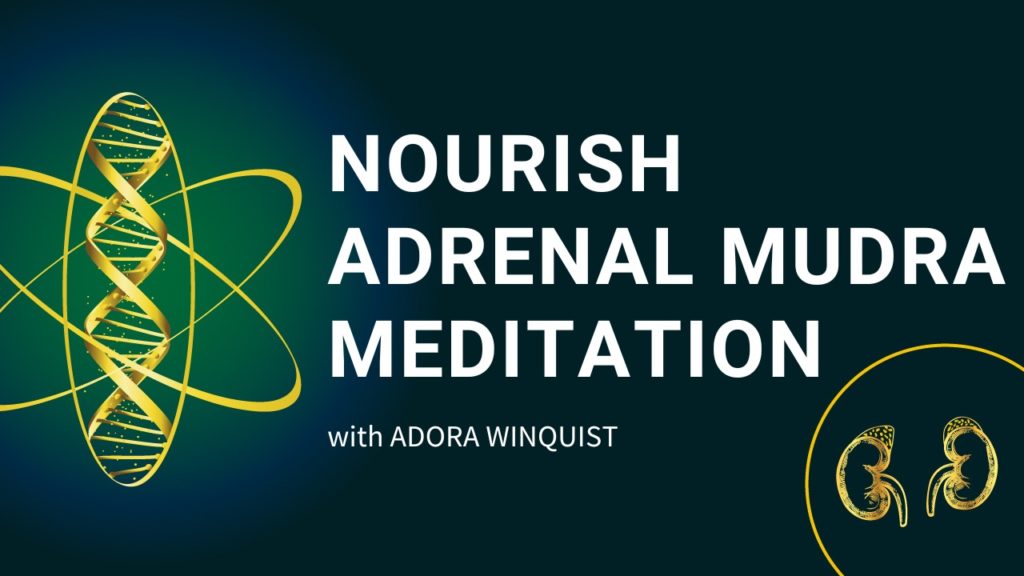Nourish Adrenal Mudra Meditation banner